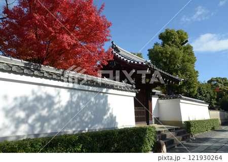 妙心寺　蟠桃院　京都市右京区花園 121930264
