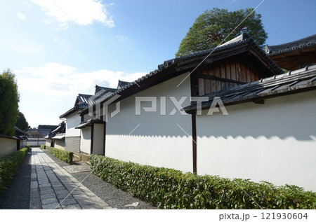 妙心寺 小方丈の白壁 京都市右京区花園 妙心寺 小方丈の白壁 京都市右京区花園 121930604
