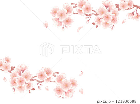 美しい桜のフレームイラスト 121930699