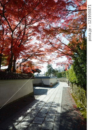 妙心寺 長興院前の参道の紅葉 京都市右京区花園 妙心寺 長興院前の参道の紅葉 京都市右京区花園 121930871