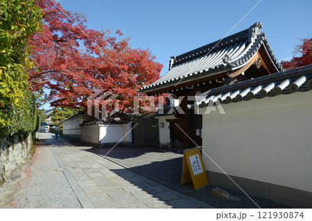 妙心寺 長興院前の参道の紅葉 京都市右京区花園 妙心寺 長興院前の参道の紅葉 京都市右京区花園 121930874