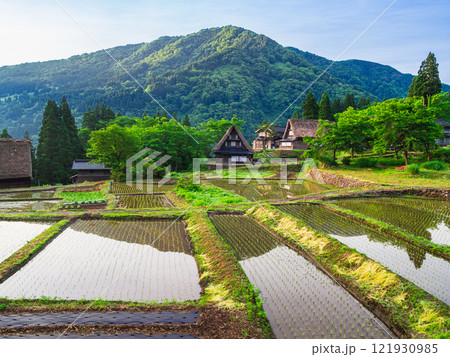 朝日が照らす合掌造りの里　五箇山　相倉集落 121930985