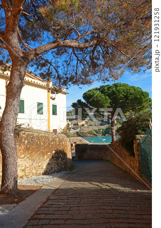 Nature of Liguria by sea. Pine trees and city buildings on sunny day. Travelling, Italy sights and holidays. Nature of Liguria by sea. Pine trees and city buildings on sunny day. Travelling, Italy sights and holidays. 121931258