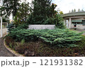 PL学園 121931382