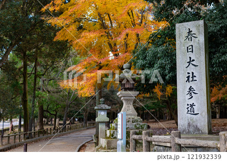 奈良 奈良 121932339