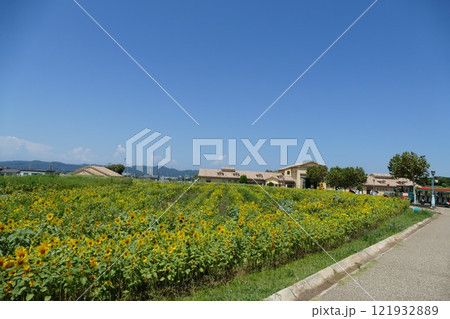 ソレイユの丘 121932889