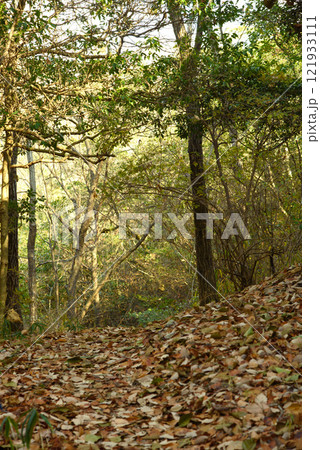 兵庫県・加西市古法華自然公園冬冬の散歩道 121933111