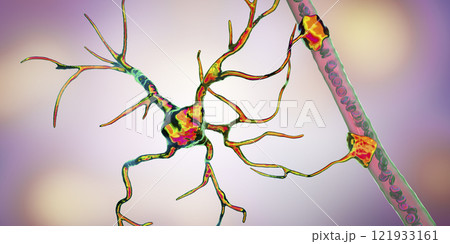 Astrocyte and blood vessel Astrocyte and blood vessel 121933161