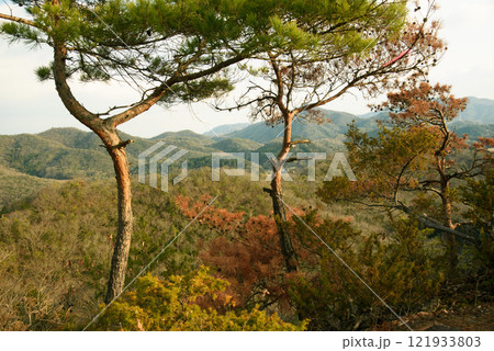 兵庫県・県立宝塚西谷の森公園 兵庫県・県立宝塚西谷の森公園 121933803