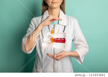 Orthopedist and surgeon with model or anatomical model of spine  121933881