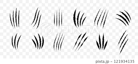 Cat scratch. Black claw scratches set isolated on transparent background. Dragon, bear or tiger claw marks. Halloween monster paw scratch trace on surface. Flat vector illustration 121934135