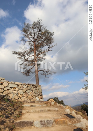 津和野城の出城(出丸) 津和野城の出城(出丸) 121934930