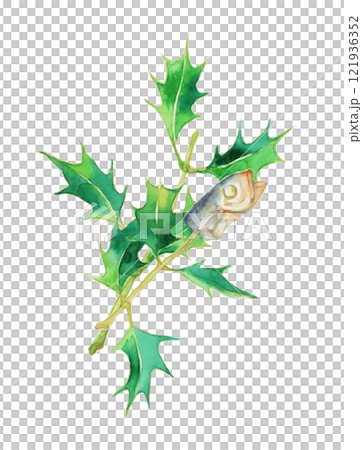 節分の柊鰯(水彩手描き) 節分の柊鰯(水彩手描き) 121936352