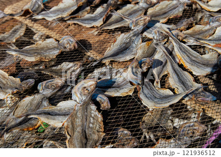 Traditional fish-drying on the beach of Nazare, Portugal Traditional fish-drying on the beach of Nazare, Portugal 121936512