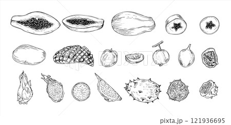 Aromatic tropical fruit mix hand drawn black and white vector illustration. Papaya, kiwano, carambola, maracuja , Pitahaya and mango fruits monochrome clip art. Food elements for summer decor. 121936695