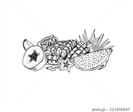 Aromatic delicious fruit mix hand drawn black and white vector illustration. Papaya, mango, carambola, maracuja, Pitahaya slices with tropical palm leaves ink sketch. For beach drinks, package design. Aromatic delicious fruit mix hand drawn black and white vector illustration. Papaya, mango, carambola, maracuja, Pitahaya slices with tropical palm leaves ink sketch. For beach drinks, package design. 121936697