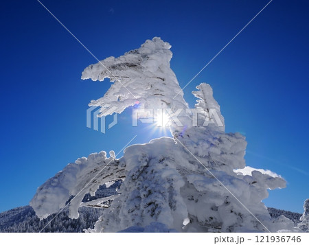 樹氷と太陽の光 樹氷と太陽の光 121936746