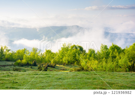 carpathian countryside with alpine meadow. weather change. sunny morning. scenery of ukrainian highland with grassy field in spring. landscape with distant valley in fog. spectacular place carpathian countryside with alpine meadow. weather change. sunny morning. scenery of ukrainian highland with grassy field in spring. landscape with distant valley in fog. spectacular place 121936982