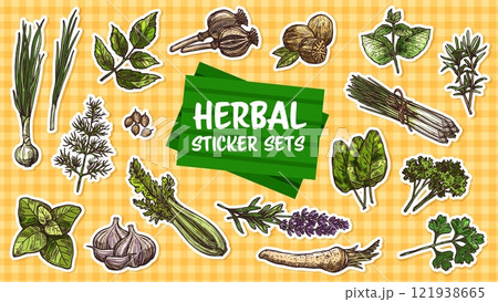 Stickers pack of spices and seasoning herbs sketches. Vector hand drawn rosemary, basil, thyme and parsley plants green leaves. Oregano, garlic, mint and nutmeg, cilantro, dill and poppy flower seeds Stickers pack of spices and seasoning herbs sketches. Vector hand drawn rosemary, basil, thyme and parsley plants green leaves. Oregano, garlic, mint and nutmeg, cilantro, dill and poppy flower seeds 121938665