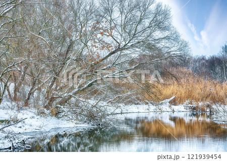 Excellent landscape in city park with snowy trees and beautiful frozen river. Excellent landscape in city park with snowy trees and beautiful frozen river. 121939454
