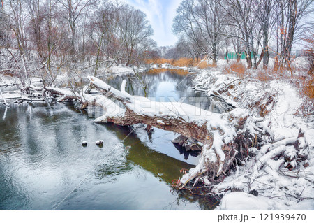 Brilliant landscape in city park with snowy trees and beautiful frozen river. Brilliant landscape in city park with snowy trees and beautiful frozen river. 121939470