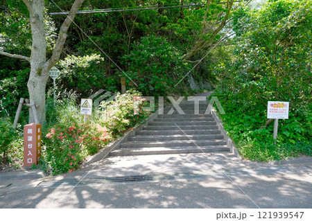 愛媛県今治市_糸山展望台入口_2024年5月 121939547