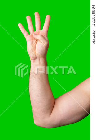 A hand showing four fingers against a bright green background A hand showing four fingers against a bright green background 121939994