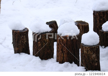 雪の積もる切り株 121940814