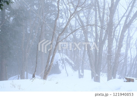 吹雪の中の山歩き 吹雪の中の山歩き 121940853