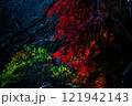 渓谷の紅葉と青い池 121942143