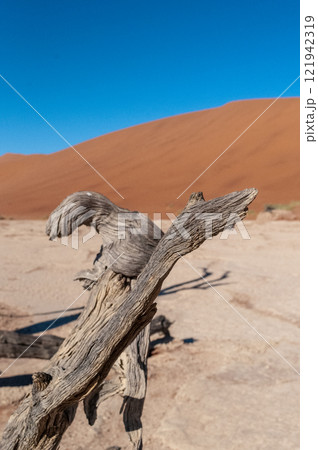 Barren landscape near Deadvlei and sossusvlei 121942319