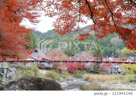 香嵐渓 紅葉(香嵐橋 愛知県 豊田市) 香嵐渓 紅葉(香嵐橋 愛知県 豊田市) 121943140