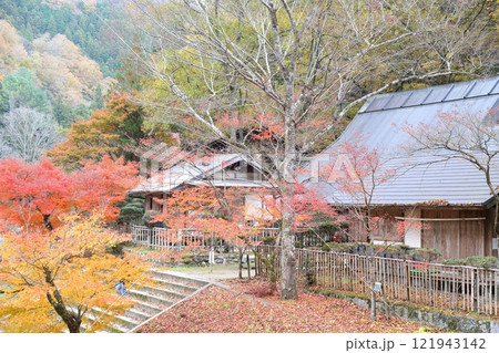 香嵐渓 紅葉(愛知県 豊田市) 香嵐渓 紅葉(愛知県 豊田市) 121943142