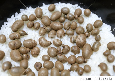 ムカゴの炊き込みご飯 ムカゴの炊き込みご飯 121943418