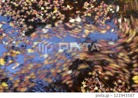 水辺に溜まった紅葉した落ち葉 水辺に溜まった紅葉した落ち葉 121943587