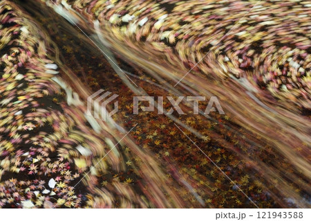 水辺に溜まった紅葉した落ち葉 水辺に溜まった紅葉した落ち葉 121943588