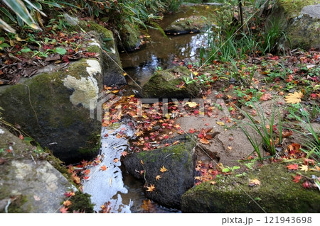 水辺に溜まった紅葉 水辺に溜まった紅葉 121943698