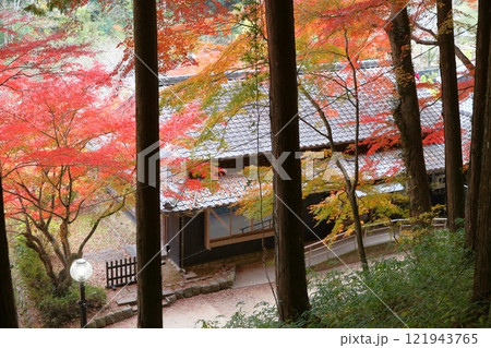 香嵐渓　紅葉（三州足助屋敷　愛知県 豊田市） 121943765