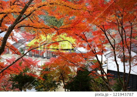 香嵐渓 紅葉(愛知県 豊田市) 香嵐渓 紅葉(愛知県 豊田市) 121943787