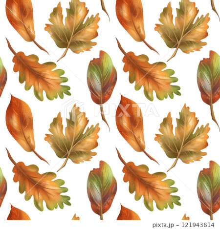 Autumn cozy seamless pattern with maple and oak yellow, red leaves on a white background. Natural motifs, forest, plants. Hand drawing background for wrapping paper, textiles, design 121943814