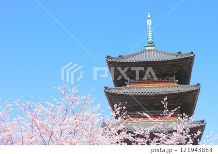 愛知県名古屋市、満開の桜と八事山興正寺五重塔の風景 121943863