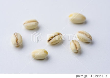 白背景にもち麦のクローズアップ 白背景にもち麦のクローズアップ 121944103