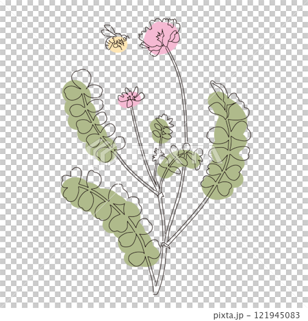 Milk vetch and bee simple color line drawing illustration Milk vetch and bee simple color line drawing illustration 121945083