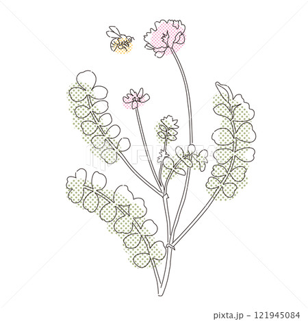 レンゲ草とみつばち　ラフにトーンを貼ったような線画イラスト 121945084