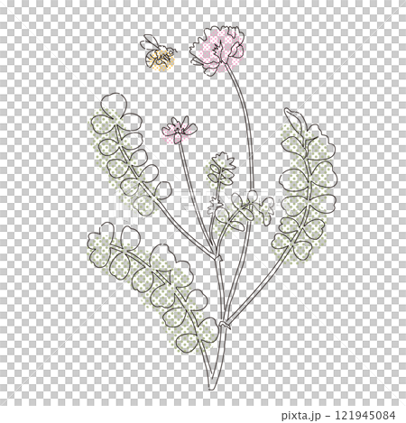 Milk vetch and honeybee: A roughly toned line drawing illustration 121945084