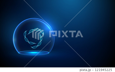 Abstract DNA double helix structures inside a glass dome. Protection, preservation of genetic information concept. Low poly style Abstract DNA double helix structures inside a glass dome. Protection, preservation of genetic information concept. Low poly style 121945225