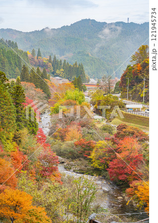 豊田市の大井平公園の展望台から見た紅葉の風景(愛知県) 豊田市の大井平公園の展望台から見た紅葉の風景(愛知県) 121945734