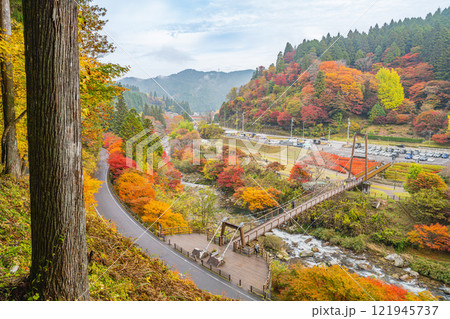 豊田市の大井平公園の展望台から見た紅葉に包まれた風のつり橋の風景(愛知県) 121945737