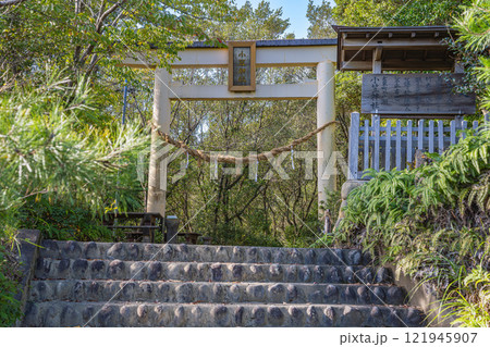 掛川市の新緑に包まれた小笠神社の鳥居の風景(静岡県) 121945907
