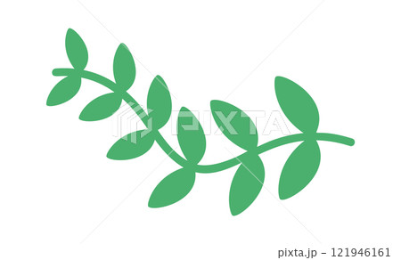 Green algae grass plant twig Green algae grass plant twig 121946161